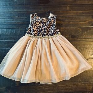 Purple Rose Dress 2T NWT